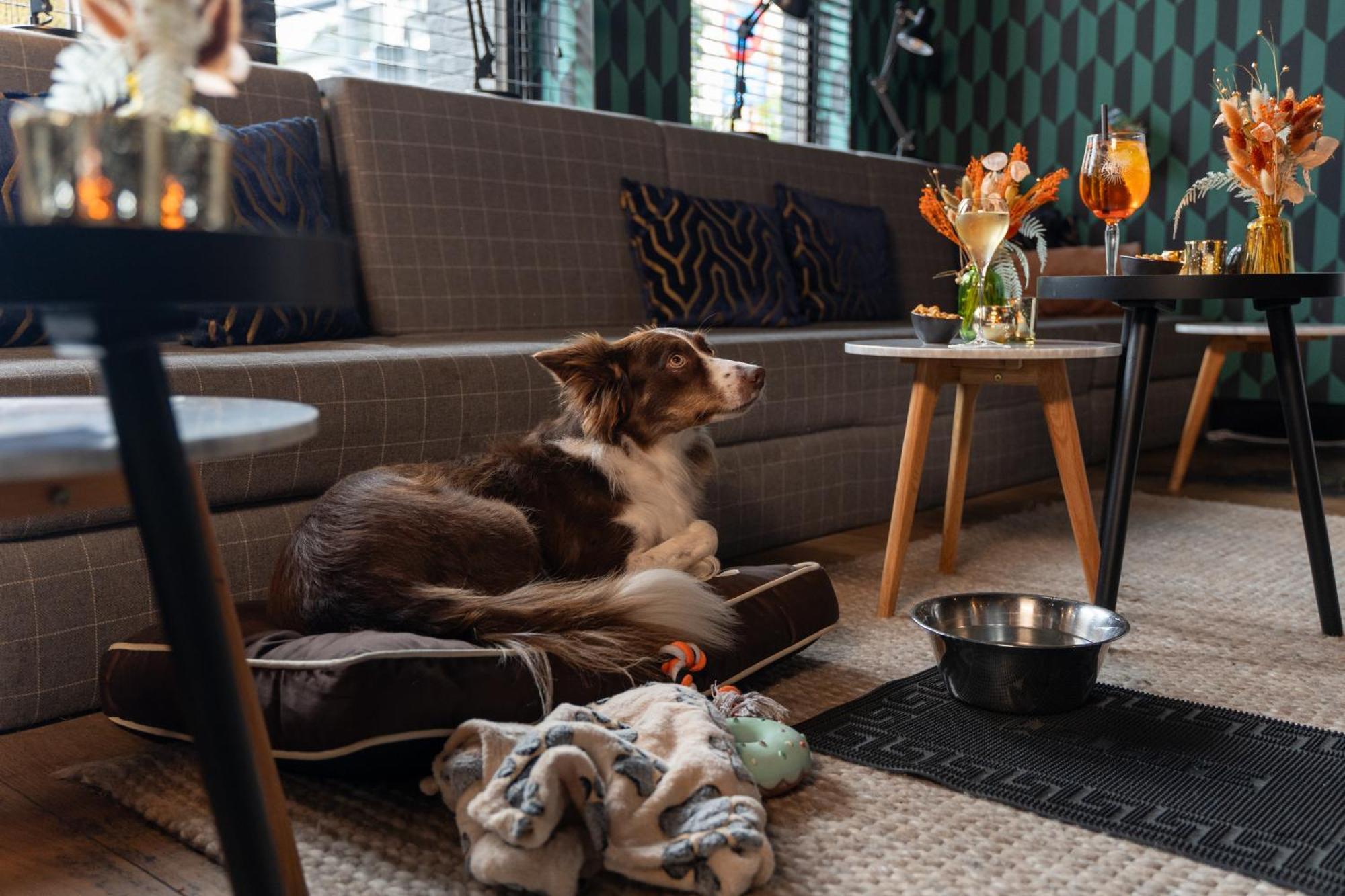 Ibis Styles Hasselt City Centre Bagian luar foto