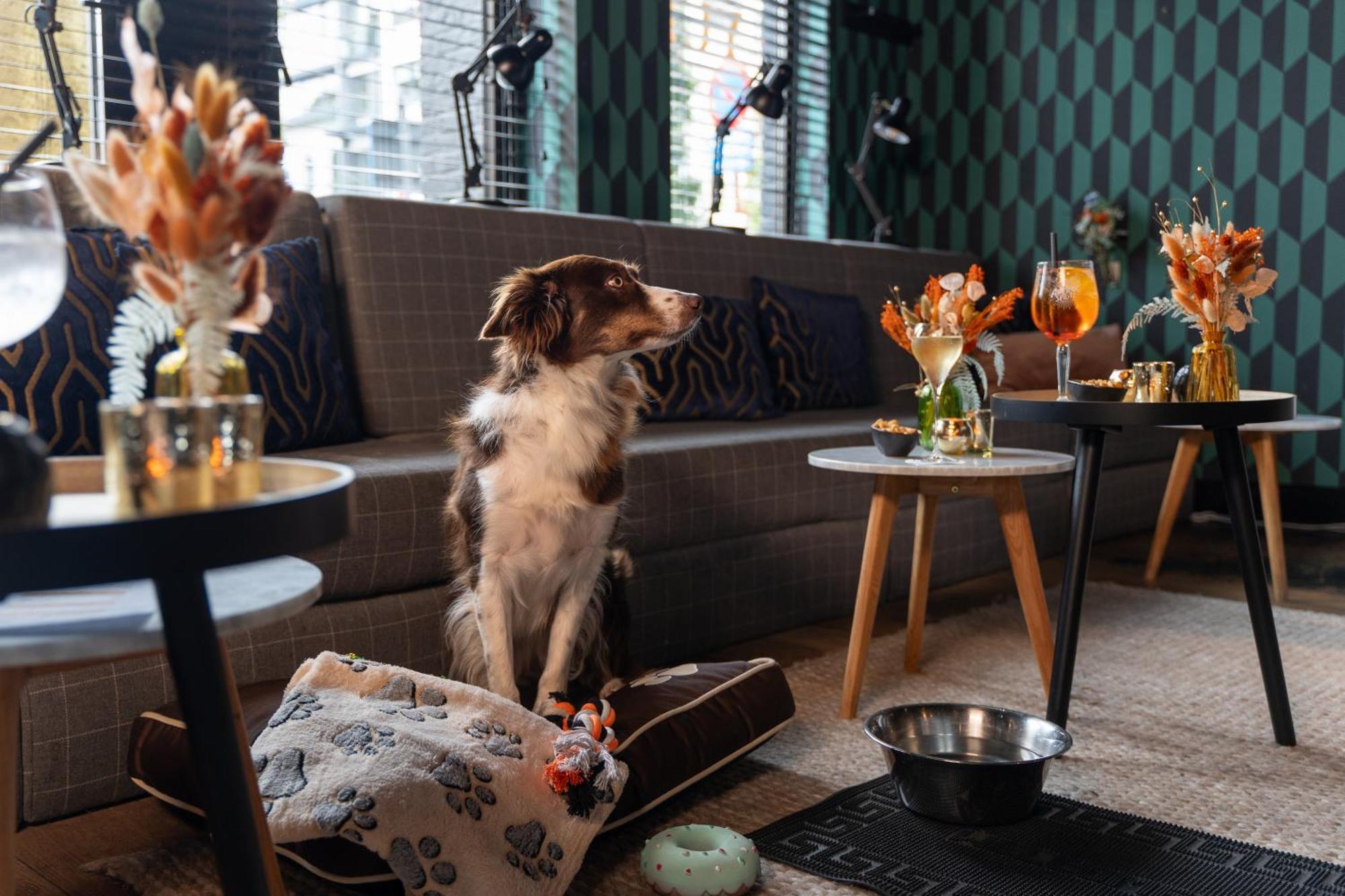 Ibis Styles Hasselt City Centre Bagian luar foto