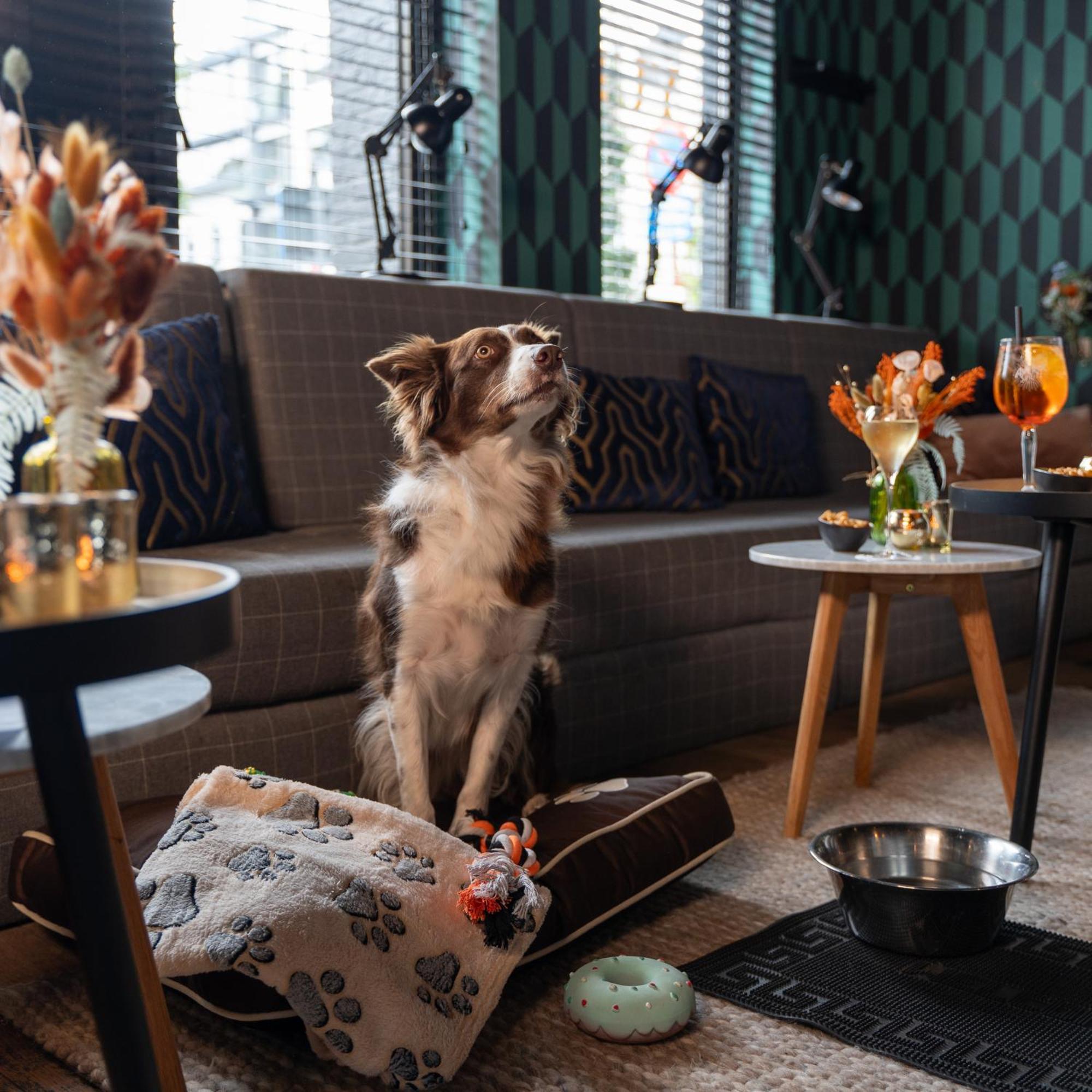 Ibis Styles Hasselt City Centre Bagian luar foto